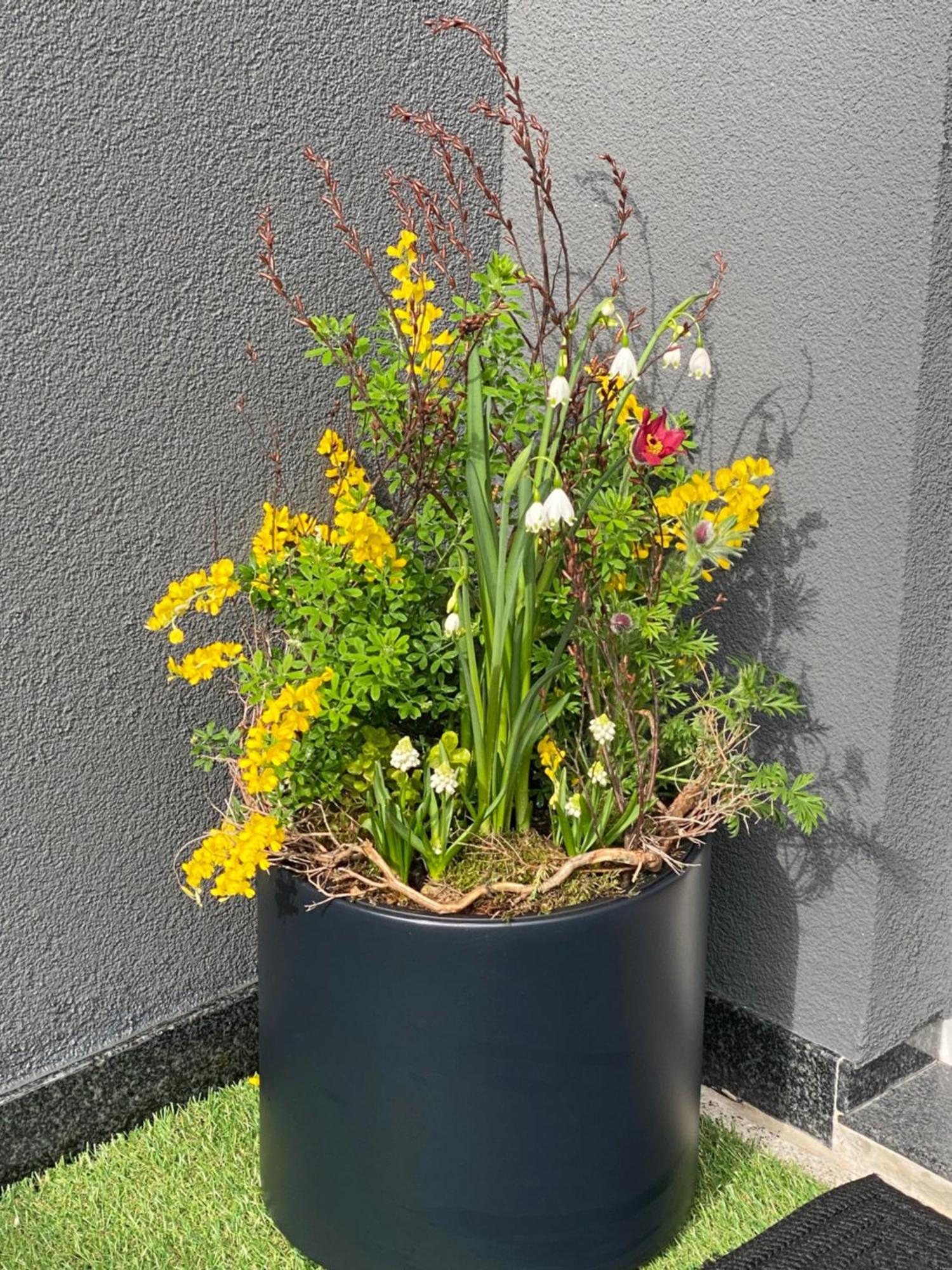 2 Zimmer Ferienunterkunft Gemeinsame Zeit Appenweier Exterior photo